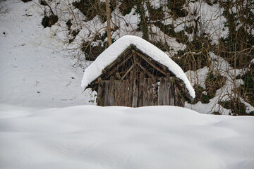 wooden house in the forest, Winter concept photo, many snow, white environment over the wooden made cottage.