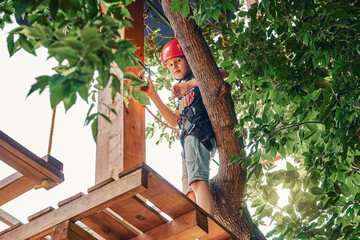 Boy in a helmet and climbing equipment standing on a wooden platform against foliage background,...