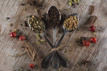 Spices and herbs on spoons