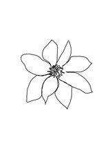 illustration of a flower