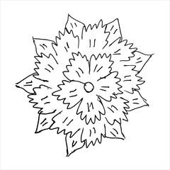 Black mandala pattern sketch on a white background, black and white circle, Vector mandala clipart for card, print, packing, poster, tattoo