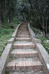 Capri - Scalinata sul sentiero di Pizzolungo