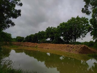 Zezra Viramgam Ahemdabad Gujarat India Forest Pond HD Photos Background Wallpaper Photography