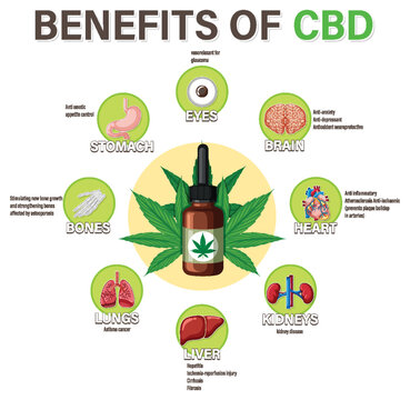 Benefits of CBD for physical health diagram