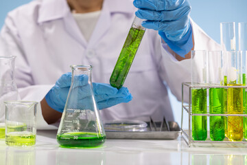 Scientists are researching algae energy for reliable biofuel source. - obrazy, fototapety, plakaty