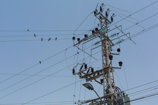 Birds perched on electricity pylon wires below blue sky

