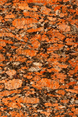 Vertical texture of red granite.
