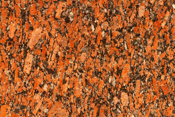 The texture of red granite.