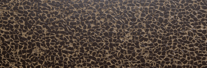 Pattern the texture of the skin of the genuine leather