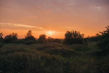 Beautiful silhouette of a sunset with bushes, a very romantic place in nature