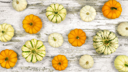 Decorative pumpkins on a white wooden background in a rustic style. Small pumpkins pattern for thanksgiving and harvest festival background. The concept of diet food for vegetarians.