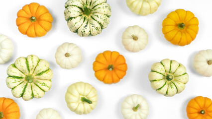 Decorative small pumpkins pattern on white background with copy space. Sweet dumpling, baby boo and...