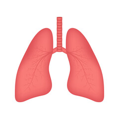 Lungs, great design for any purposes. Cartoon illustration. Simple vector illustration