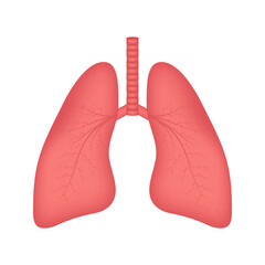 Lungs, great design for any purposes. Cartoon illustration. Simple vector illustration