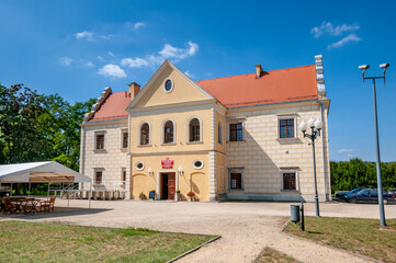Fototapeta na wymiar The Mecinski Palace, now a district cultural center, houses the Regional Museum, Dzialoszyn, Lodz Voivodeship, Poland