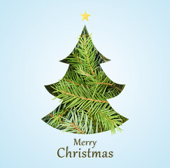 creative Christmas tree from spruce branches on a light blue background
