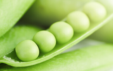 macro background green pea pod