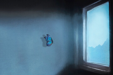 butterfly looks for the way out from a window of a house, the concept of freedom