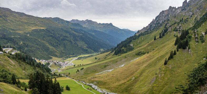 Api Svizzere e Tirolo