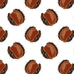 Chestnut pattern isolated on white background.