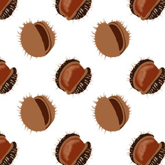 Chestnut pattern isolated on white background. 