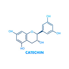 Catechin formula. Icon with green catechin formula