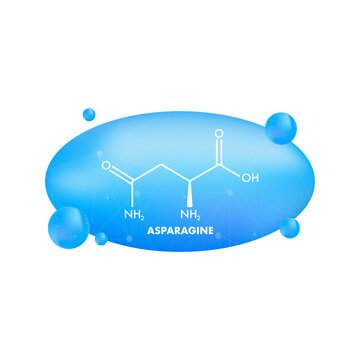 Molecular biology. Asparagine L-asparagine , Asn, N amino acid molecule