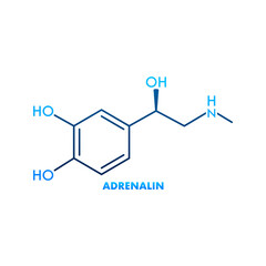 Adrenaline or adrenalin, epinephrine neurotransmitter molecule. Skeletal formula.Vector illustration