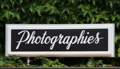 Gros plan de lierre et panneau avec marqué Photographies