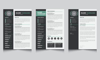 Resume Template CV Template Modern Creative Cover Letter Layouts Vector