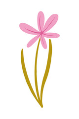 Vector illustration of Pink wild flower drawn in a flat style.