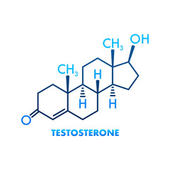 Testosterone formula. Vector thin line icon of testosterone molecular structure - obrazy, fototapety, plakaty