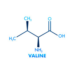 Valine formula for medical design.Valine formula, great design for any purposes