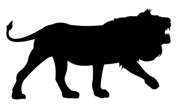 Lion is unhappy and growls. African savanna predator. Silhouette picture. Dangerous animal in natural conditions. Isolated on white background. Vector.
