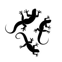 vector silhouette of a lizard with various poses