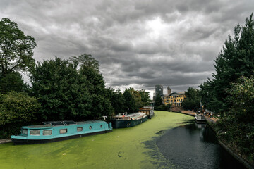 The Grand Union Canal in London, narrow boats on the duck weed covered canal