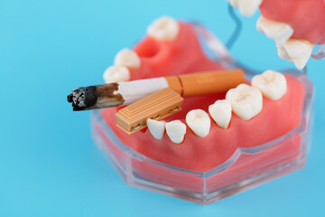 Cigarettes and coffins in the teeth of creative miniatures
