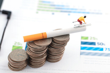 Miniature Tobacco Taxes Ski Rise