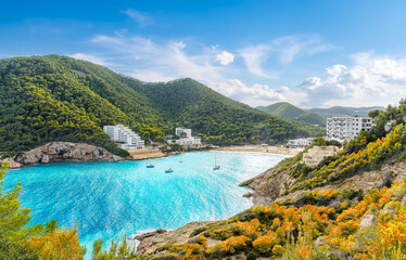 Landscape with Cala Llonga, Ibiza island, Spain - obrazy, fototapety, plakaty
