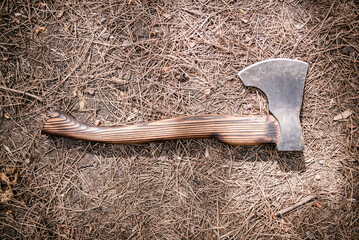 The axe is lying on the ground in a coniferous forest, next to it are two cones. Close