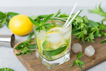 Mojito cocktail. Refreshing mojito cocktail with lime, lemon and mint in a tall glass with a stick