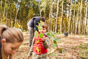 Children help plant trees in the forest for climate protection