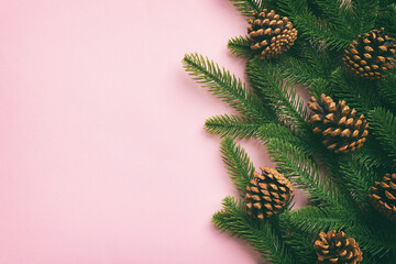 Christmas holiday background with copy space for advertising text. Fir branches and pine cone on color background . Flat lay, top view