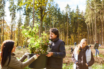 Children help foresters plant trees in the forest