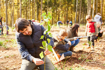 Foresters planting trees in an environmental protection campaign