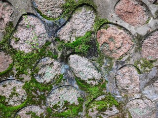 stone wall overgrown with moss