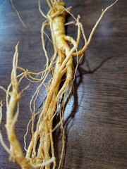 ginseng root. mountain ginseng. traditional oriental medicine. secret of Asian longevity.