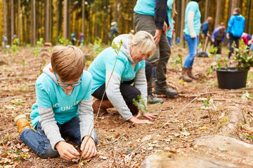 Family helps with a voluntary reforestation campaign