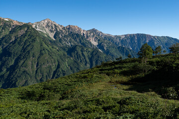 八方尾根を歩く　長野県白馬村