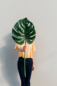 Woman holding monstera leaf in front of wall